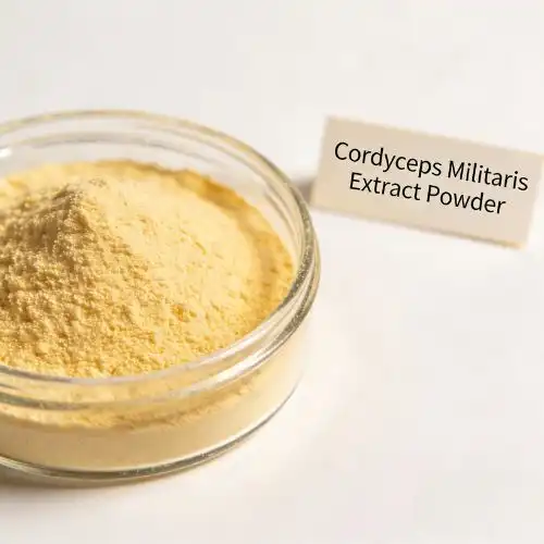 Best Cordyceps Militaris Extract Manufacturers